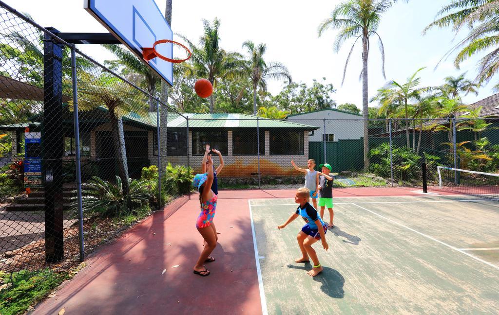 Koala Shores Holiday Park Lemon Tree Passage エクステリア 写真